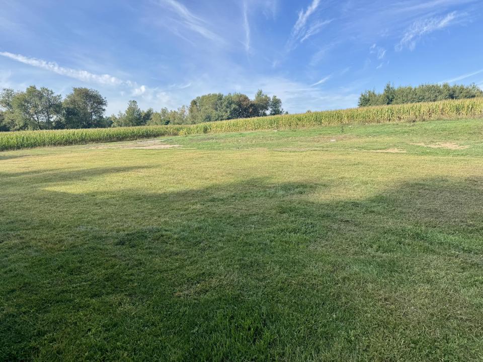 Back yard