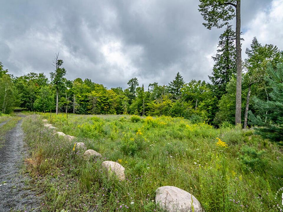 Lot12OnCasiersWayInSaranacLake_Lot_Right