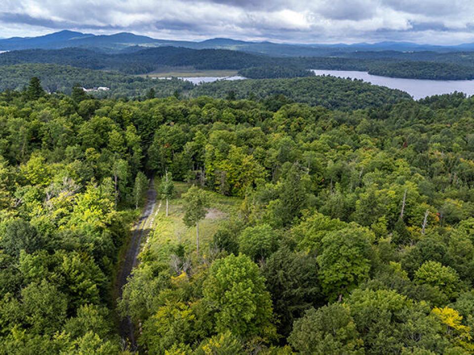 Lot12OnCasiersWayInSaranacLake_A_Lot_Lak