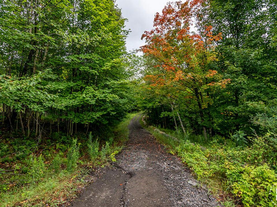 CasiersWay_Road_Lots