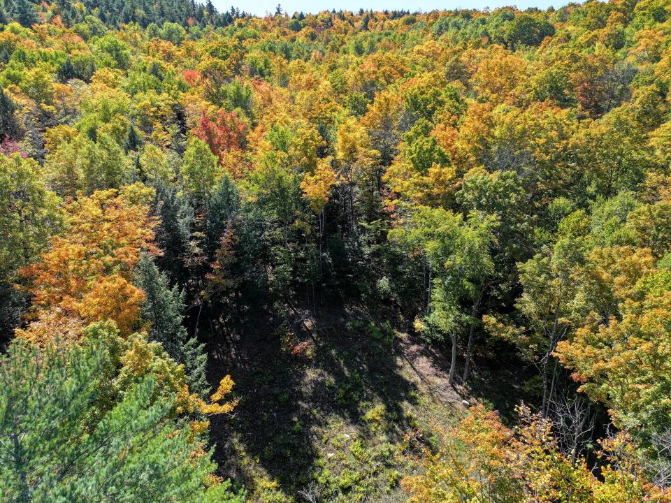 DJI_20250930125644_0084_D-2 (Copy)