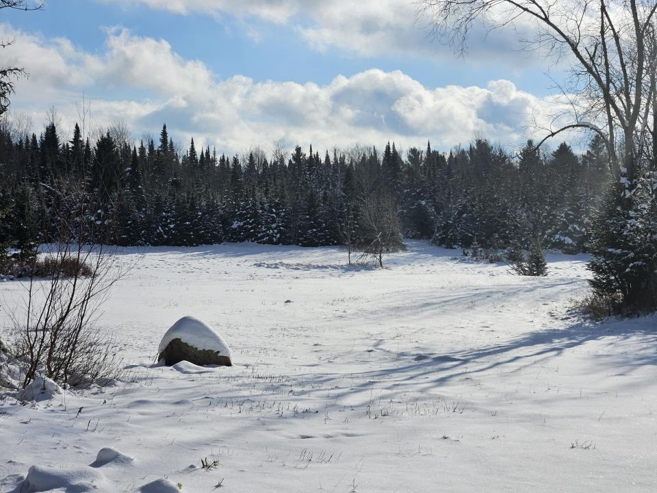 Small field 2