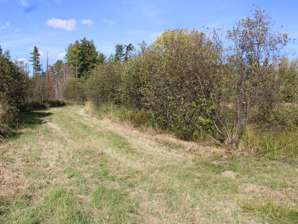 Additional View
