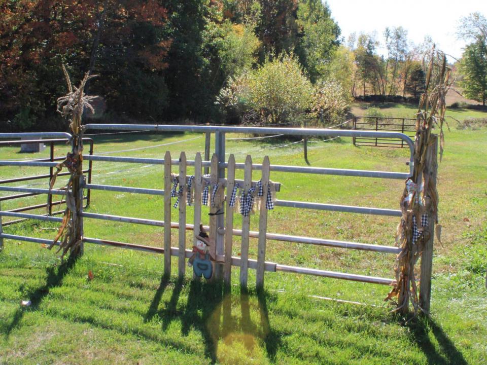 Pasture