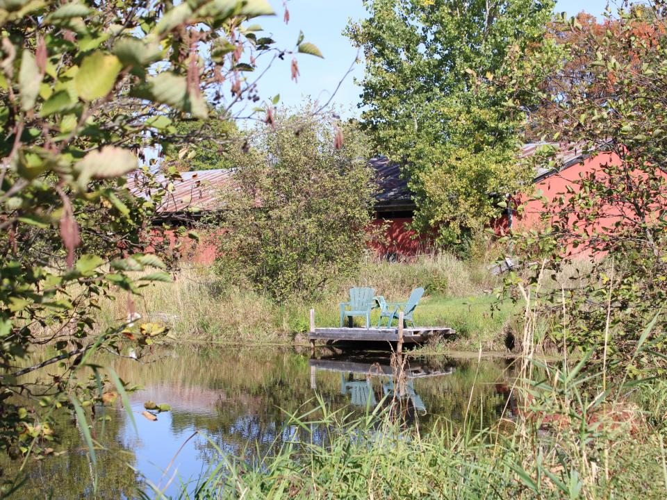 Pond