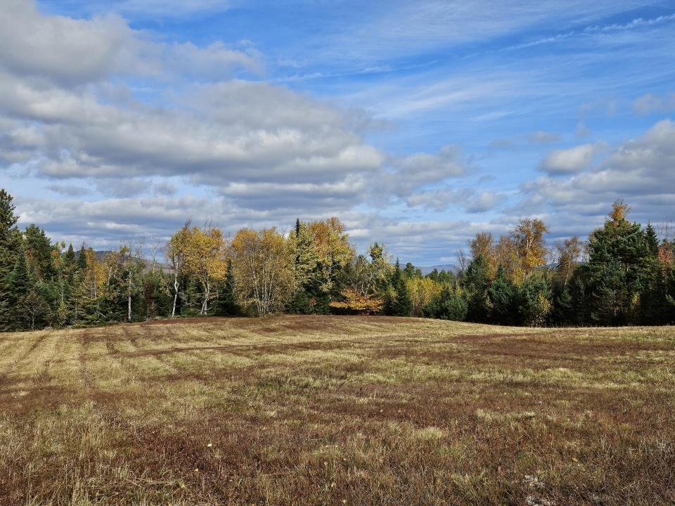 NE corner distant