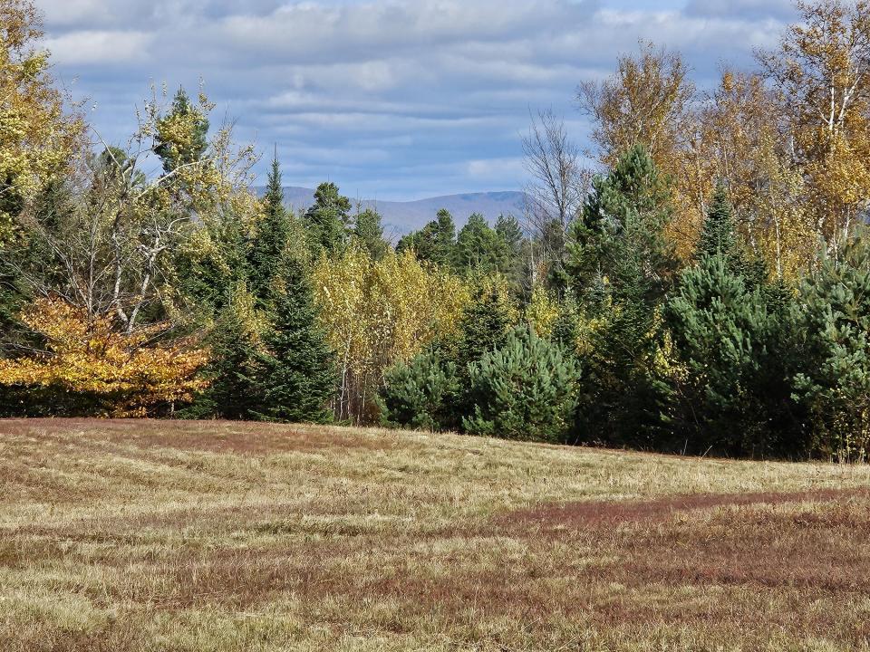 NE corner
