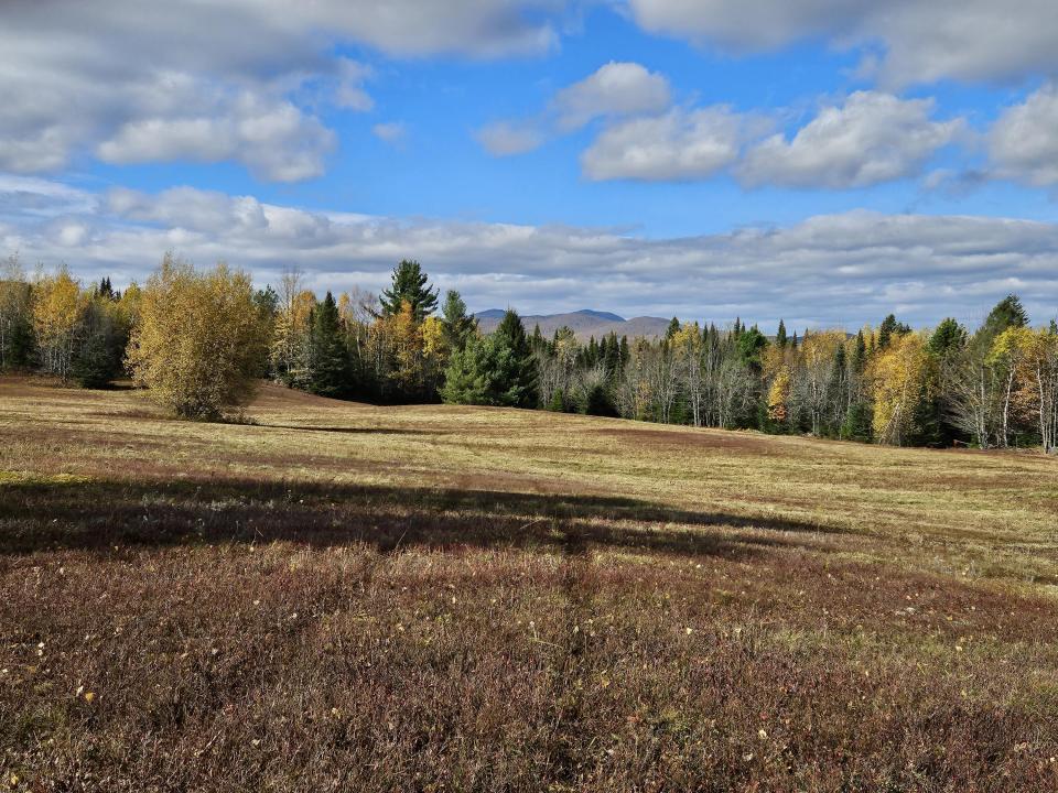 West corner distant