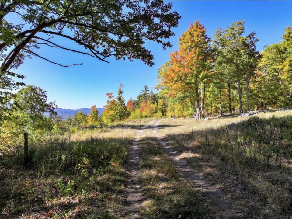 Screenshot 2025-10-07 at 11.48.05am