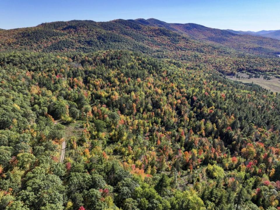 Screenshot 2025-10-07 at 11.48.49am