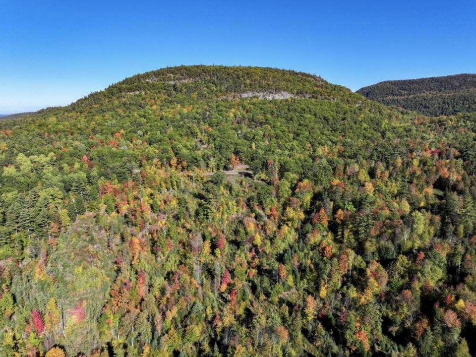 Screenshot 2025-10-07 at 11.49.06am