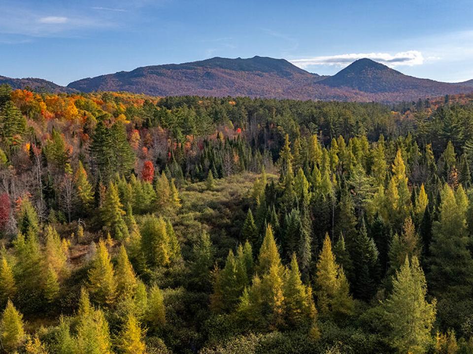 LotOnLuckyWay_A_MckenzieBrook_Mtns