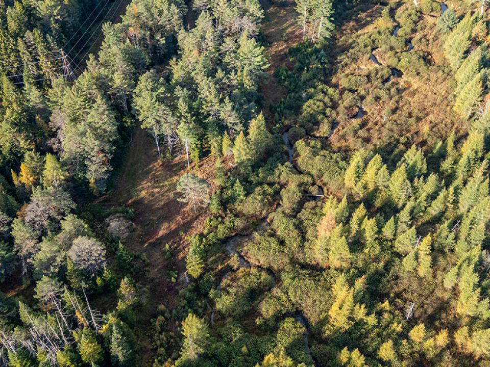 LotOnLuckyWay_A_Lot_Brook_Above