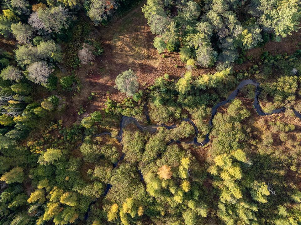 LotOnLuckyWay_A_Above_Lot_Brook