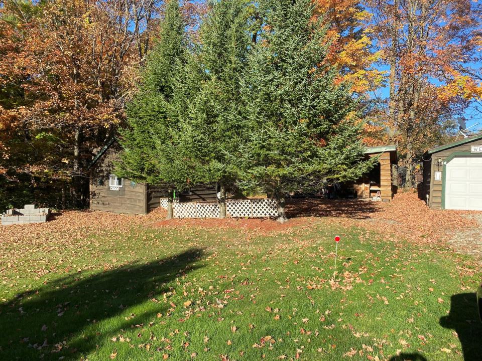 Yard Two