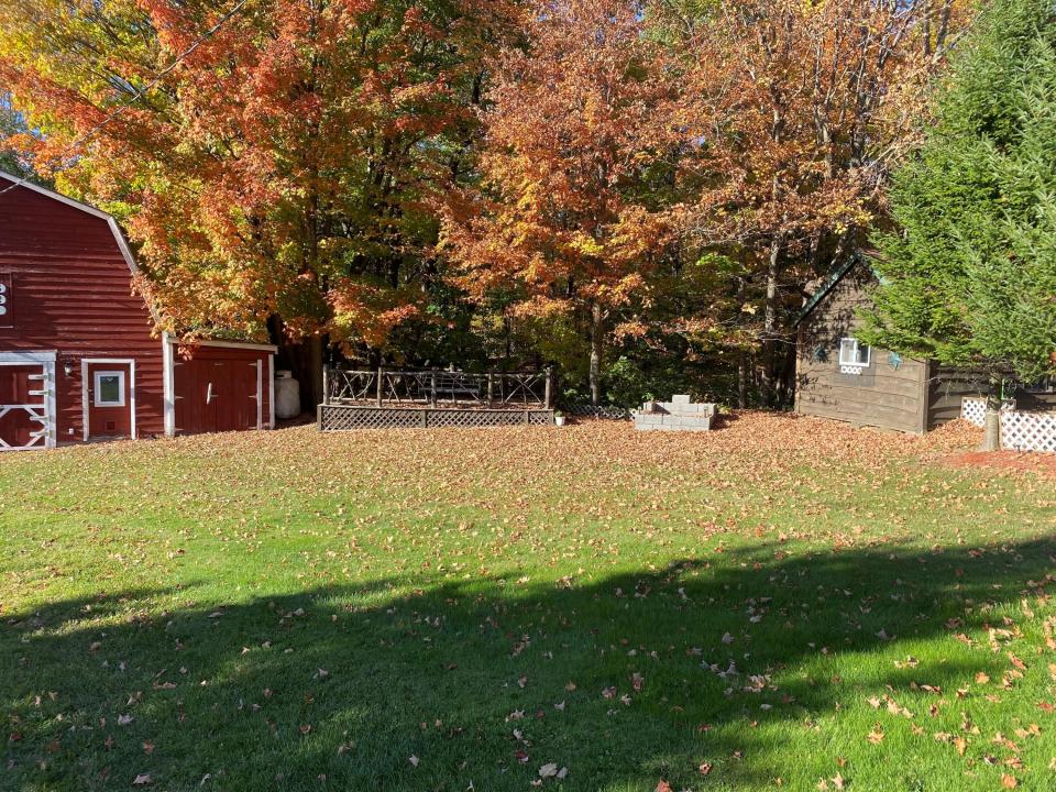 Yard