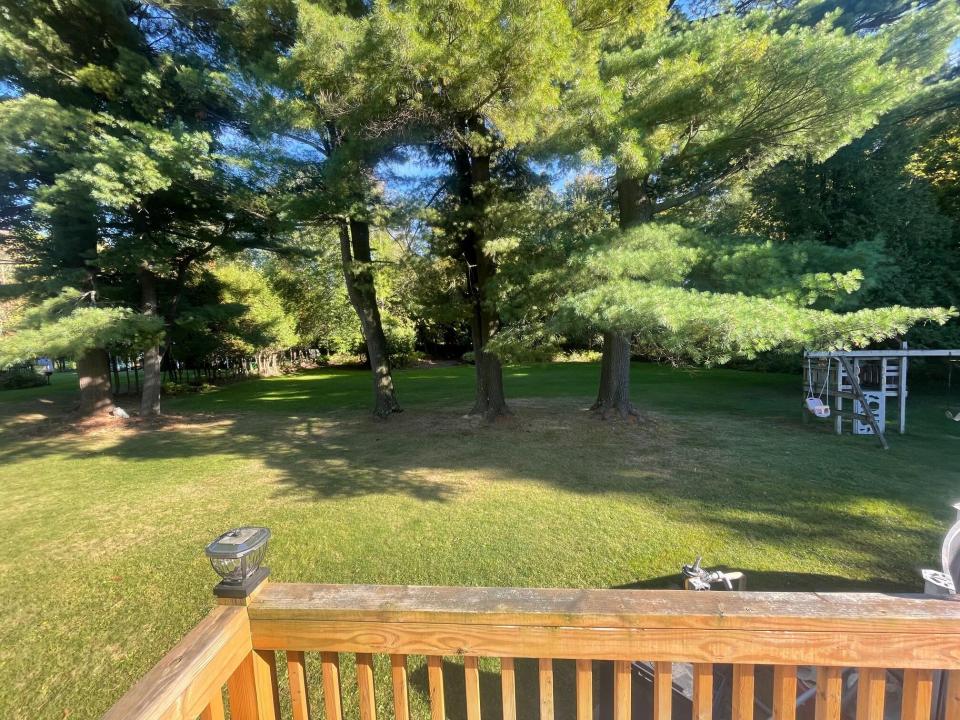 Backyard 1