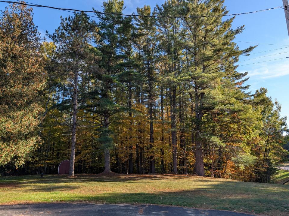 PXL_20251006_200515032.MP