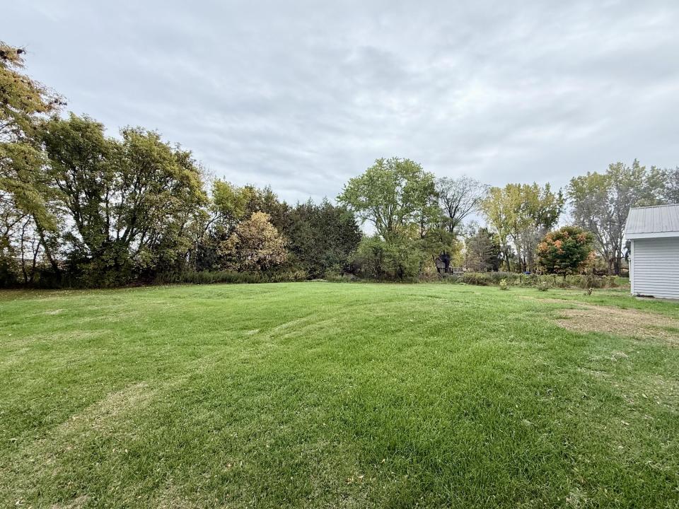 Back yard