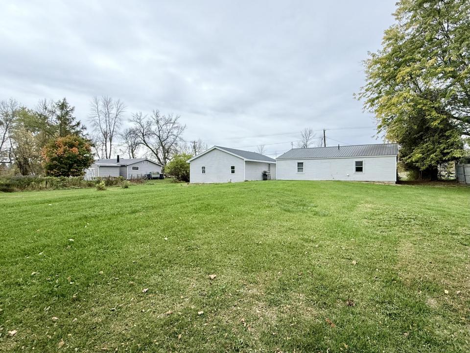 Back yard