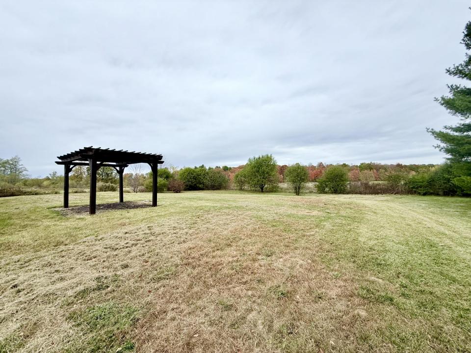 Back yard