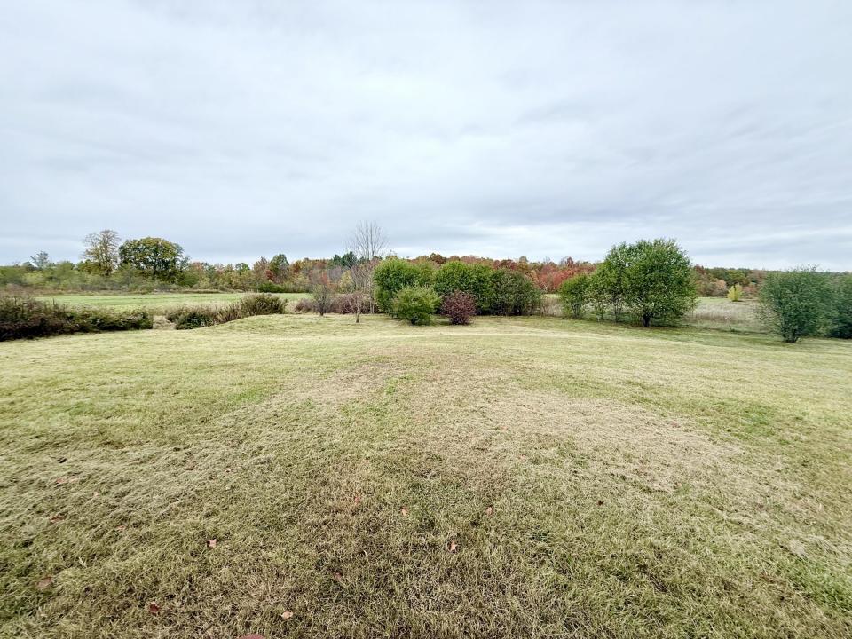 Back yard