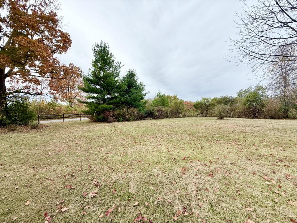 Front yard