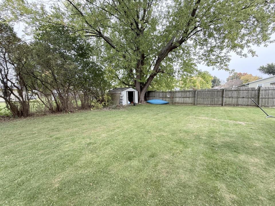 Back yard