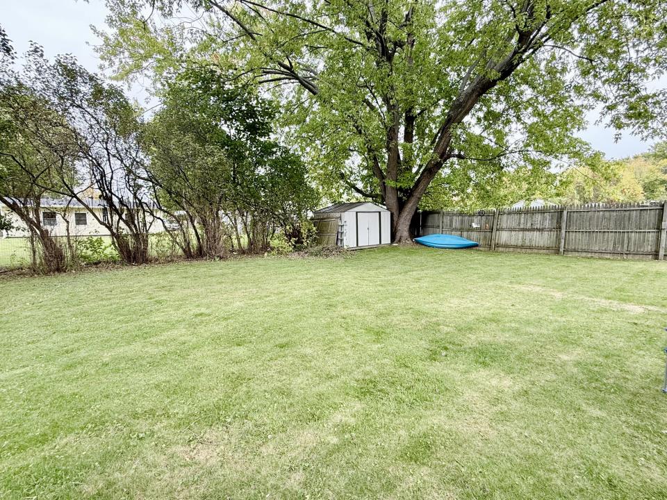 Back yard
