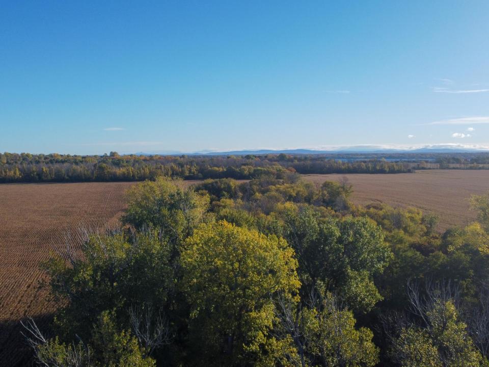 DJI_0704