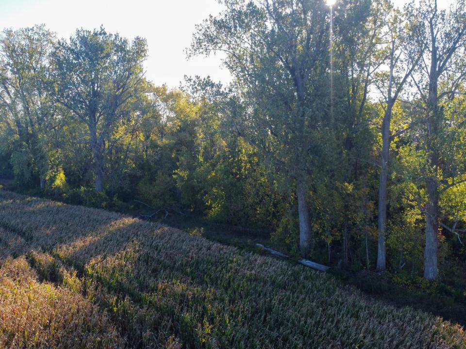 DJI_0710