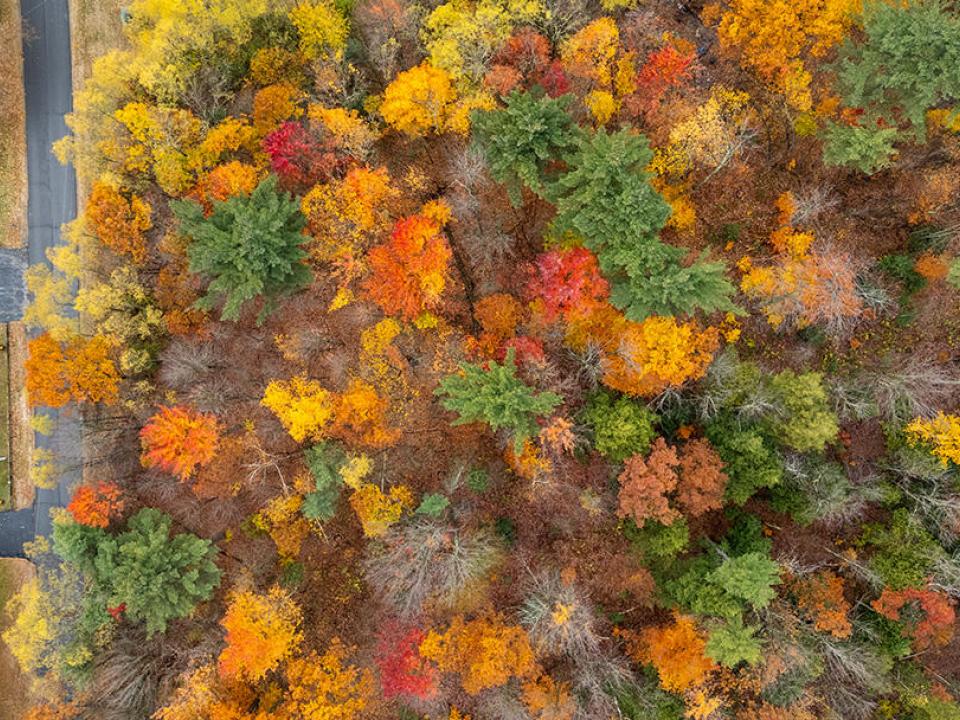 SchuylerFallsLot_A_Above