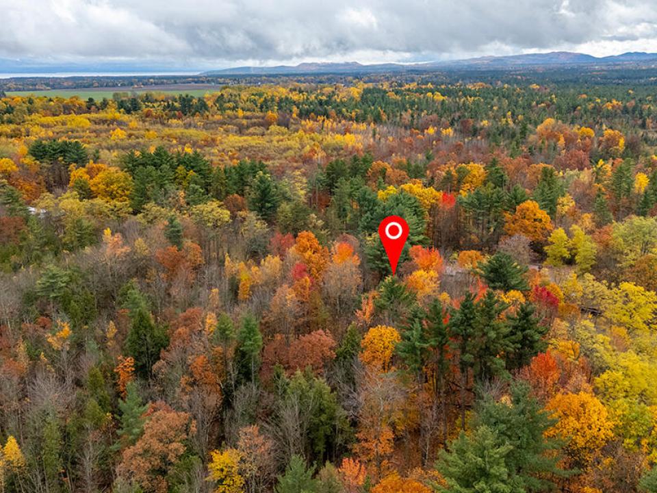 SchuylerFallsLot_A_Lot_Back_R