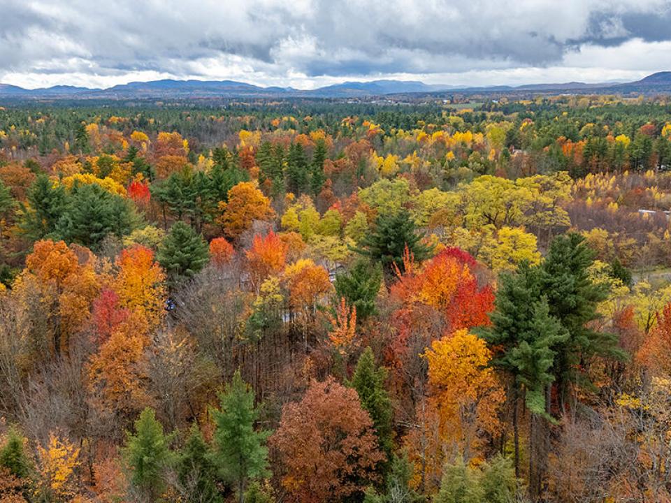 SchuylerFallsLot_A_Lot_Back