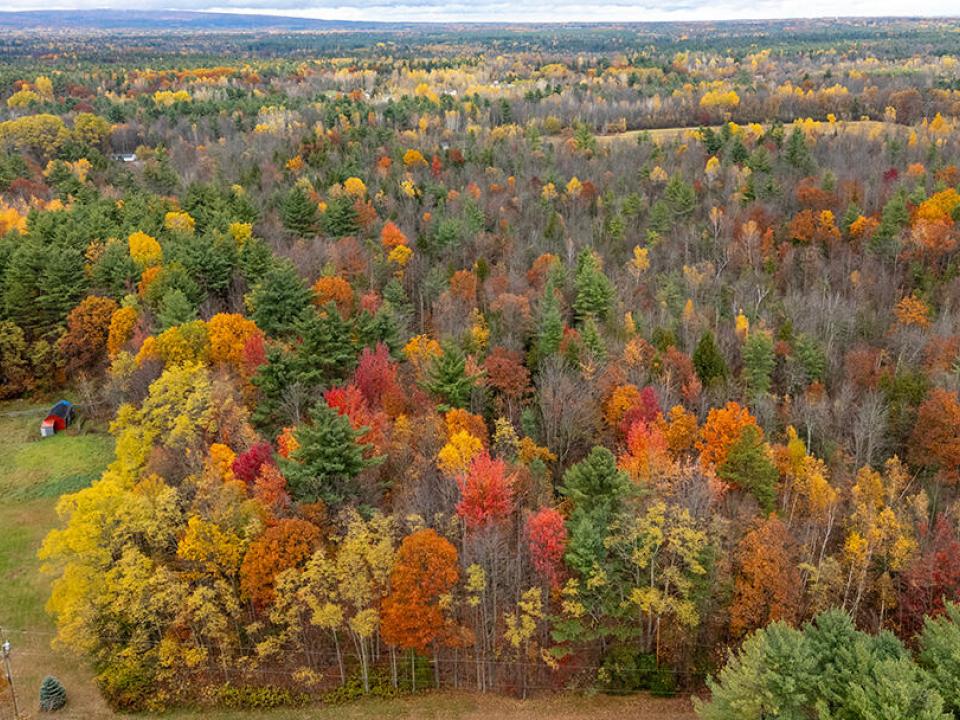 SchuylerFallsLot_A_Lot_Front