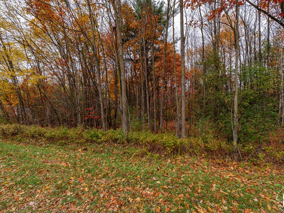 SchuylerFallsLot_Lot_R