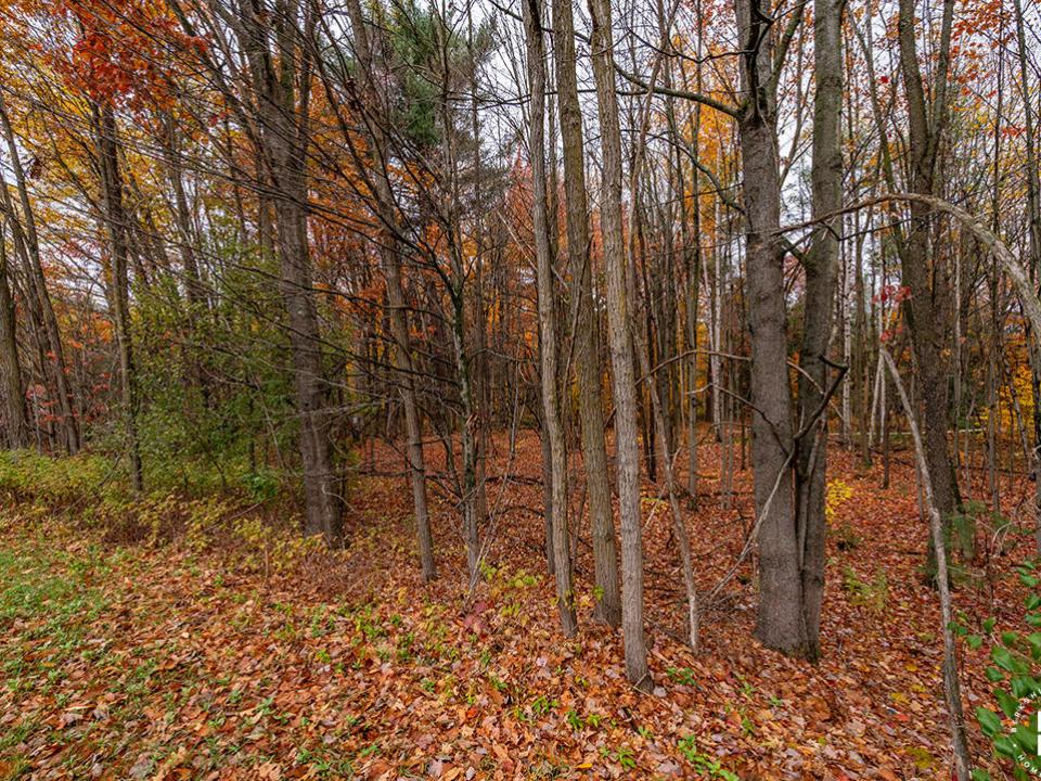 SchuylerFallsLot_Lot