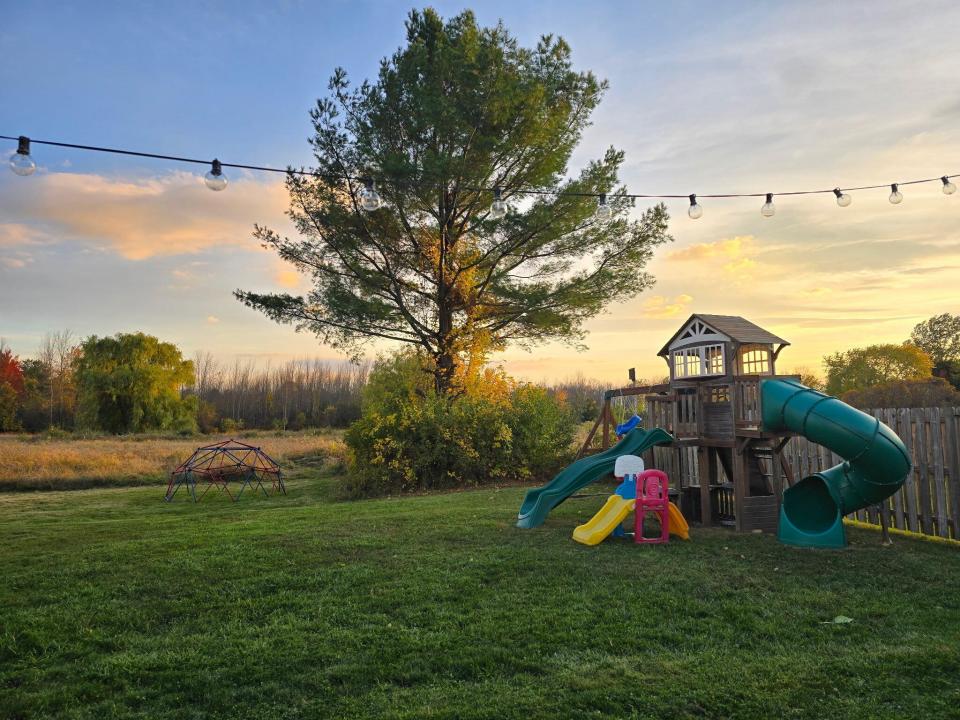 Back yard