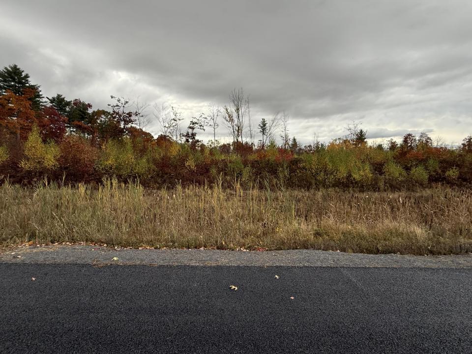 View from Korn Drive