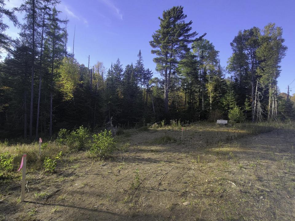 20250929_164738 (1)
