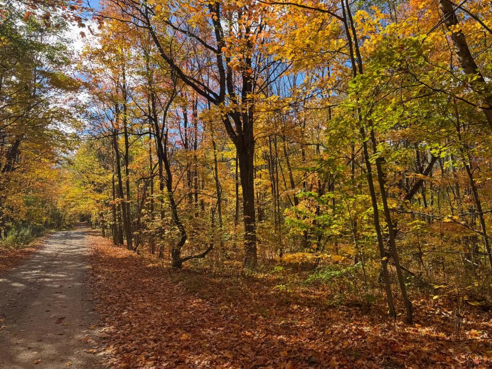 228A5314-AA7D-40F4-8024-87D1F24DDED6