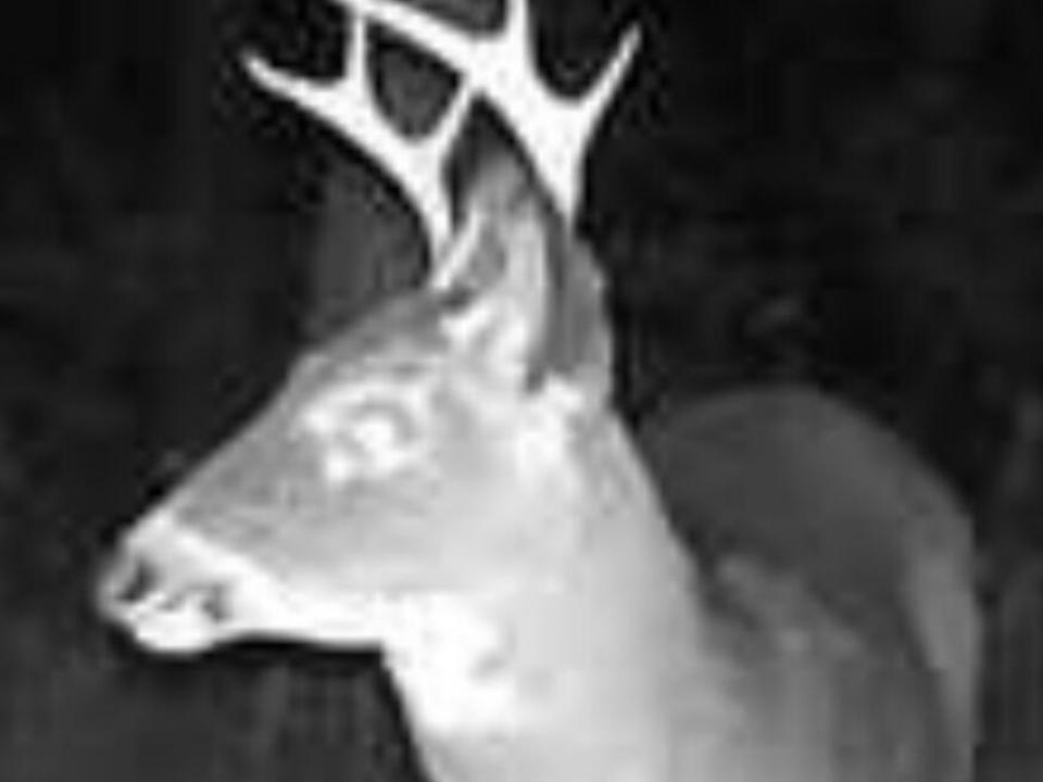 27764735-C740-4F6D-809E-1AC308C1621C