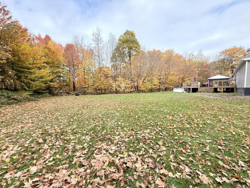 Back yard