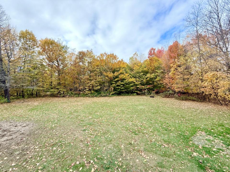 Back yard
