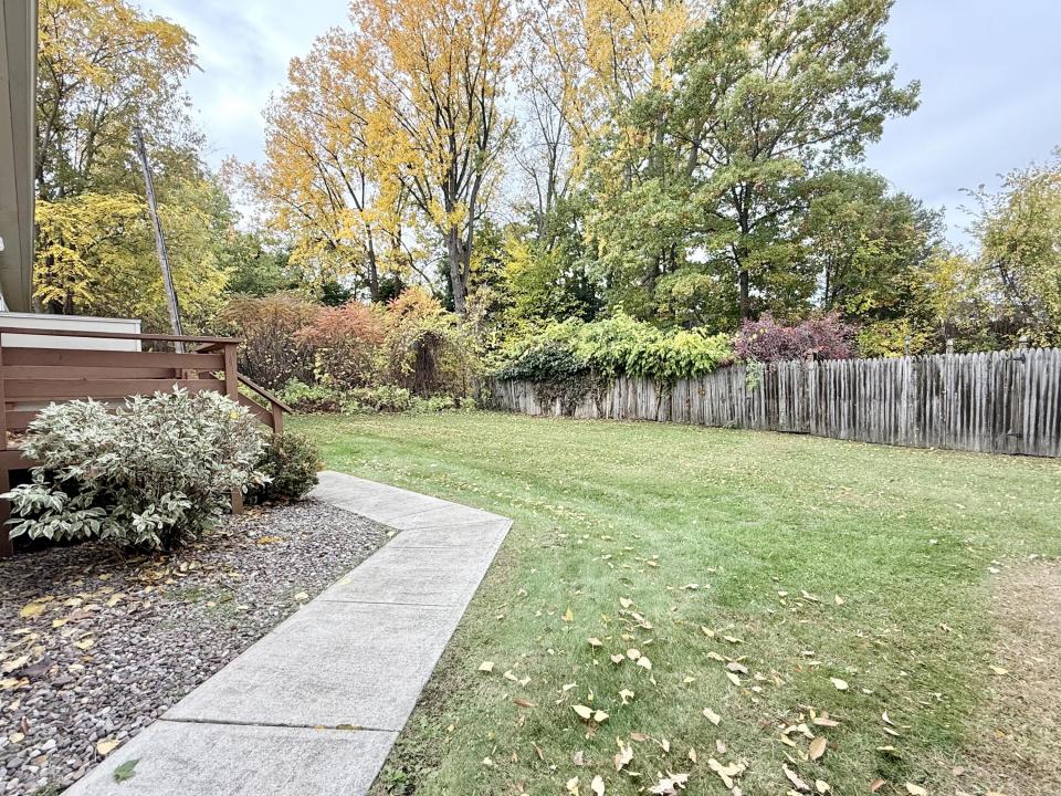 Back yard