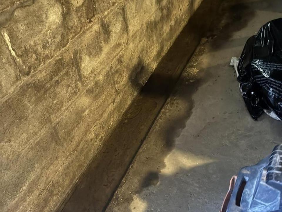 52050-f96d47f8-c740-4911-81dc-342e811625