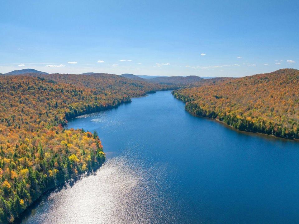 W37-NY0592-052 W37-NY0592-052