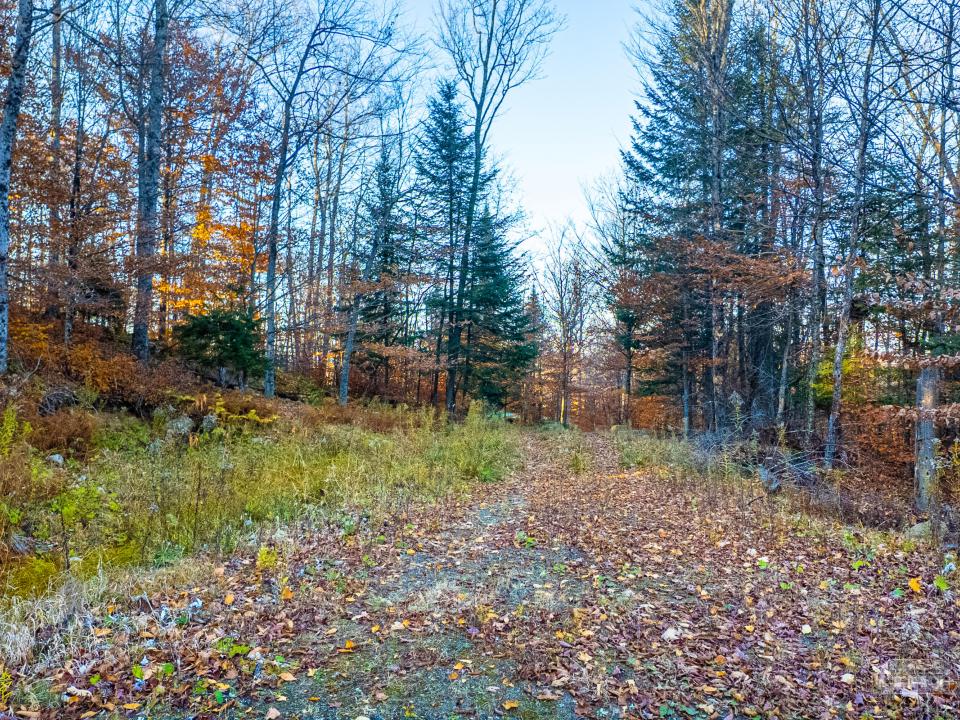 Hawk Ridge Lot 7 SL-21 Hawk Ridge Lot 7 SL-21