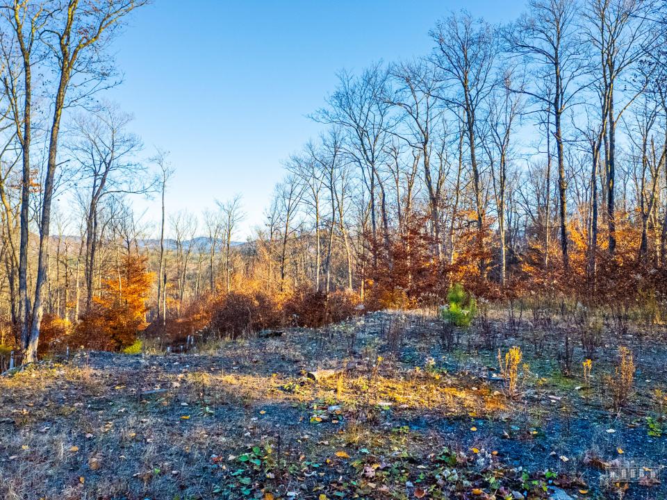 Hawk Ridge Lot 7 SL-19 Hawk Ridge Lot 7 SL-19