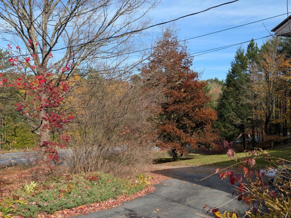 PXL_20251019_175956645